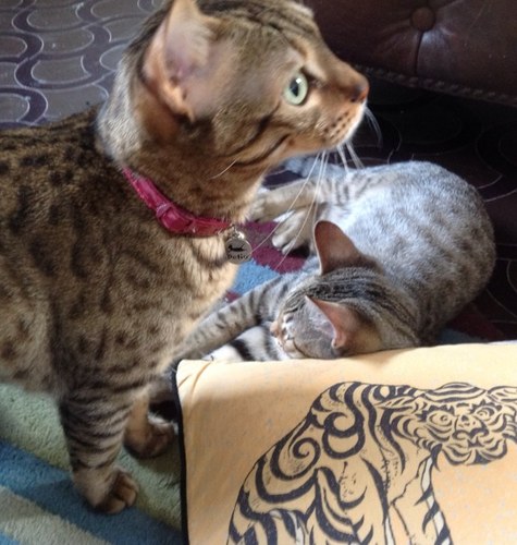 miu77miu77's profile picture. 