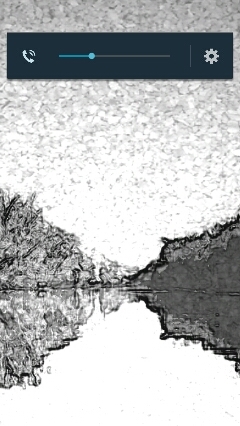 Consolidarity's profile picture. 