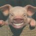 Neil Mabon (@1st_mountainpig) Twitter profile photo