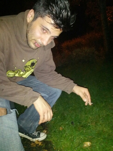 Marcellinerik's profile picture. 