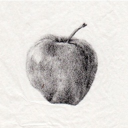 Catherine Pilgrim