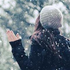 Selena386No's profile picture. 