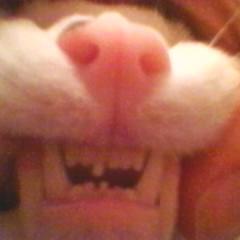 modshnag's profile picture. il n'y a pas de justice dans ce monde! Heureusement la justice divine nous donne ce qu'on mérite un jour ou l'autre,courage!