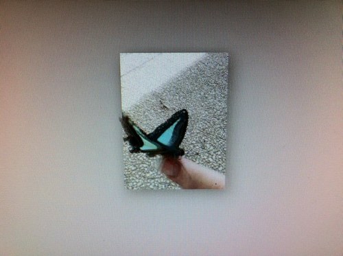 glenda_jay's profile picture. 