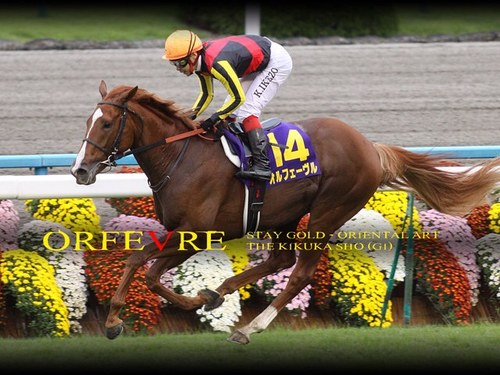 kyouto_gomi's profile picture. よろしくお願いします。京都