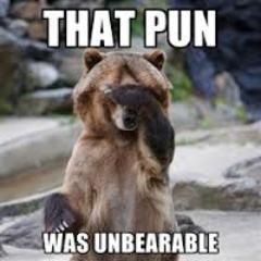 Officer of the Eularity gaming community. ADHD in game selection, beginner streamer, and most of all, Punbear.
