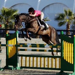 AbsoluteHJ_TL2's profile picture. 