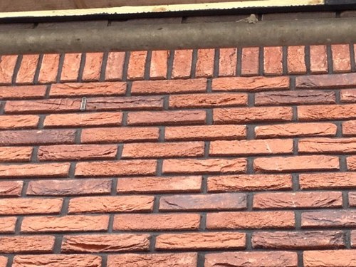 schipperzn's profile picture. 