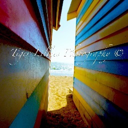 Every image I take is a moment to be framed ©
