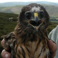 Charlotte Reid (@charlottereid3) 's Twitter Profile