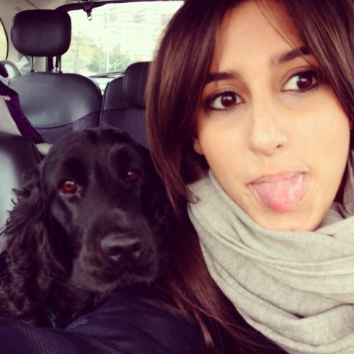 MarSanDP's profile picture. 