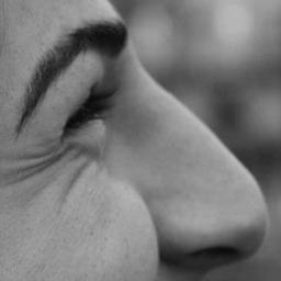 spinaspinch's profile picture. 