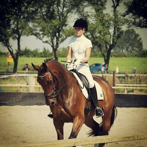 Micheledebruijn's profile picture. 