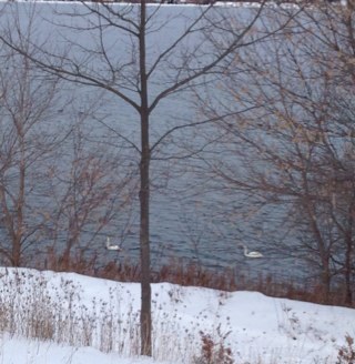 colleenacolby's profile picture. 