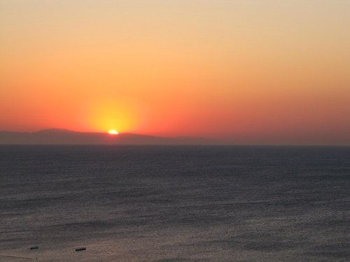 1_zahnfee's profile picture. 