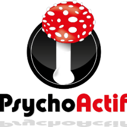 L'équipe de Psychoactif Profile