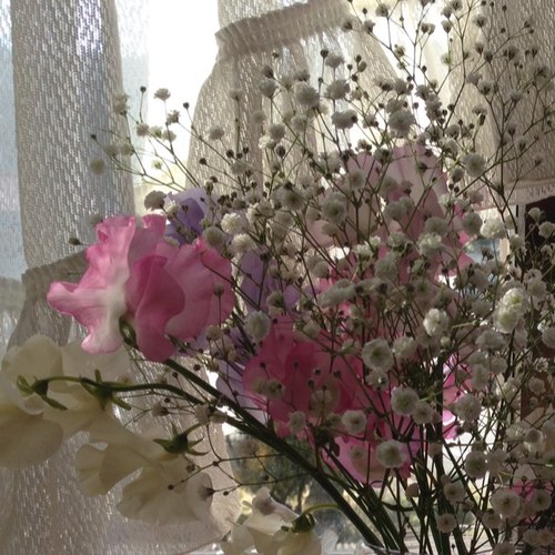お花企画垢です。 まだ何も決まってないですが…！ アイコン等募集しちゃいます
主催もどきはこちらです【@rem7098】