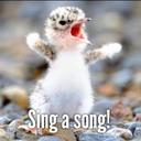 Barb Ward - @w9woz - Twitter