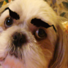 auuseizin's profile picture. 湘南育ちが札幌にやってきました。その後、仙台へお引越し…結局寒い！(｀・ω・´) 
アニメやどうぶつタワーバトル、時計やワインが大好きです