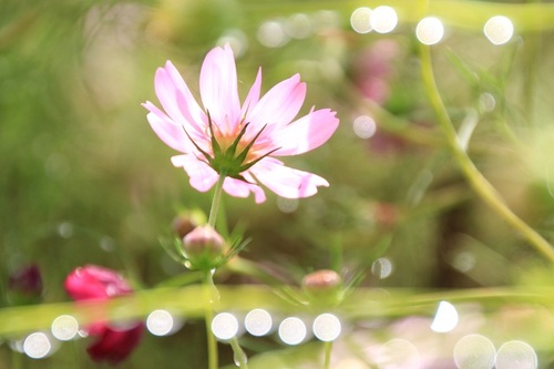 m_whome's profile picture. 趣味で写真を撮ってます。
FUJIFILM　X-T4