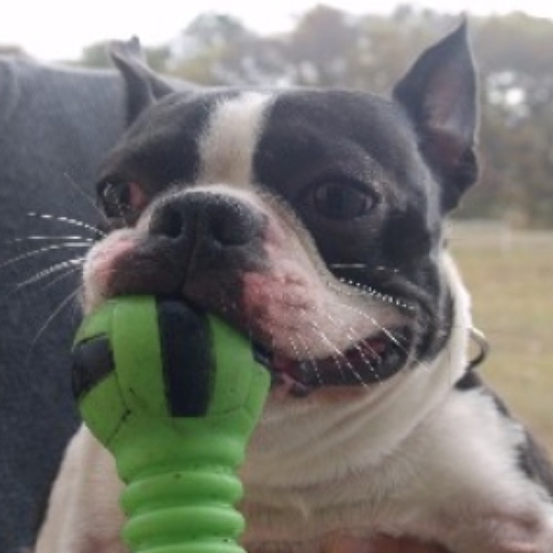 hasematsuko's profile picture. 皆様お元気ですか。私は膝が痛いです。