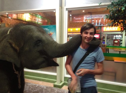 i like my coffee black and my elephants nice and friendly
