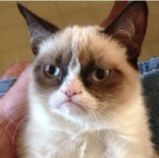 Je ne t'aime pas.
