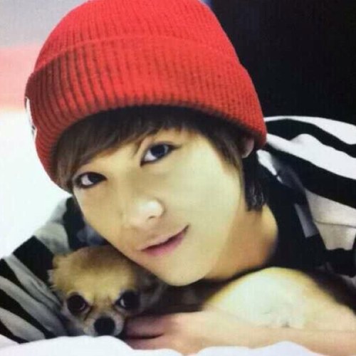 FTisland Hongki bot

ついほー→@adadybi2