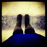 ani dussold (@ani_stl_goblues) 's Twitter Profile