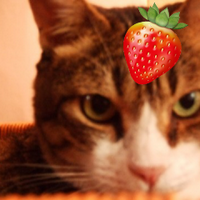 苺時雨🍓リプ型スパム発見次第全通報 (@hanashigure) 's Twitter Profile Photo 苺時雨🍓リプ型スパム発見次第全通報 (@hanashigure) 's Twitter Profile Photo
