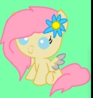 ashley moon is a 1 year old filly who is deaf and  she cant talk ehithr. she has always lived on her own  she reads lips. real name is Ashlynn