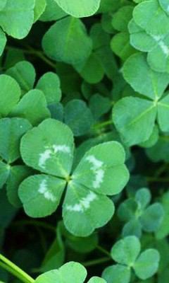 kyouka27's profile picture. よろしくお願いします(^-^)/