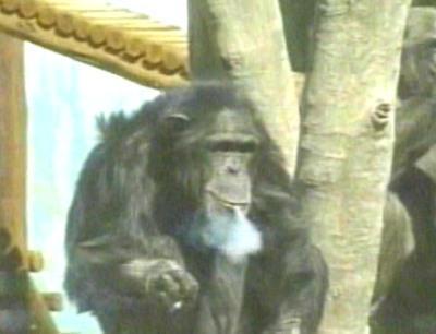 Zakk300's profile picture. 