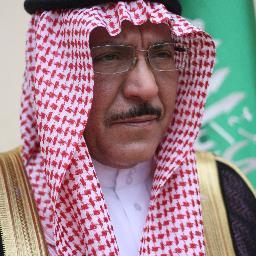 Saud bin Abdulaziz ALDail Ambassador of the Kingdom of Saudi Arabia
In Niger.