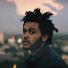 theweekend13's profile picture. 