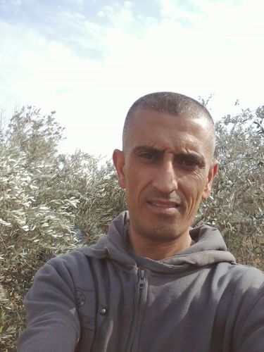 tamergder's profile picture. 