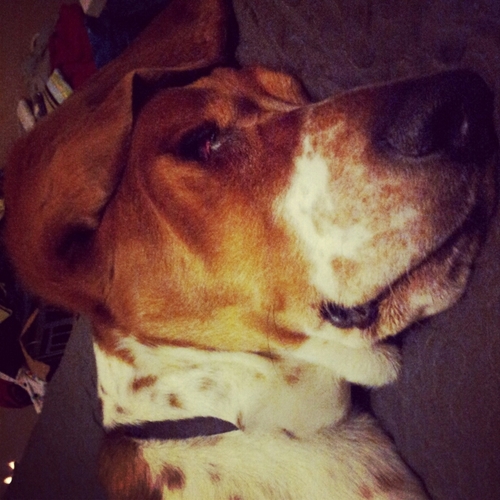 kmgain's profile picture. 