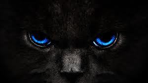 Nobody can give me freedom. Nobody can give me equality or justice or anything. I am a man, I take it!!!
