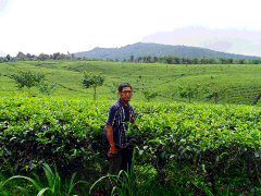 Dang_paktia's profile picture. 