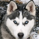 Dylan Hickman - @Dylan__Hickman - Twitter