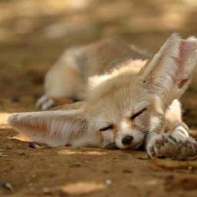 目白大学学生 Mejirodaigaku25 Twitter 目白大学学生 Mejirodaigaku25 Twitter