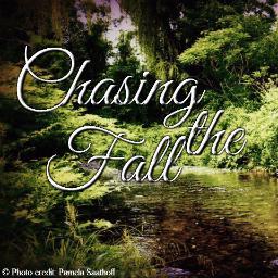 _ChasingTheFall's profile picture. Four piece pop punk band formerly know as Behind the Stars. Give us a listen!