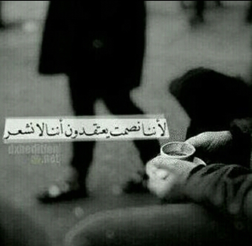 rahafALknani's profile picture. 