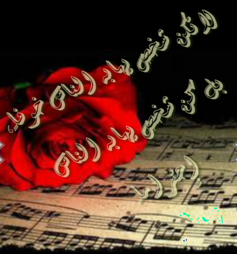 nfeekh's profile picture. 