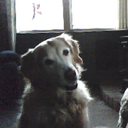 Tim Eaton - @timeaton2 - Twitter