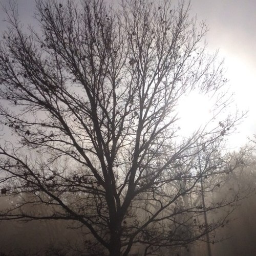 winker_paul's profile picture. 