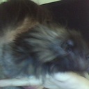 jasper harry hale - @jasper_harry1 - Twitter