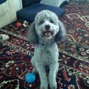 Barry Nickell - @Barrytomax - Twitter