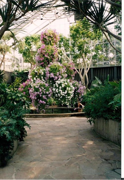 oscarmoss's profile picture. 