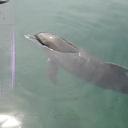 doris reyes - @crdoris - Twitter